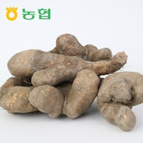 삼촌밥먹자 북안동농협 국산 안동 산마 (중)2kg 3kg 5kg
