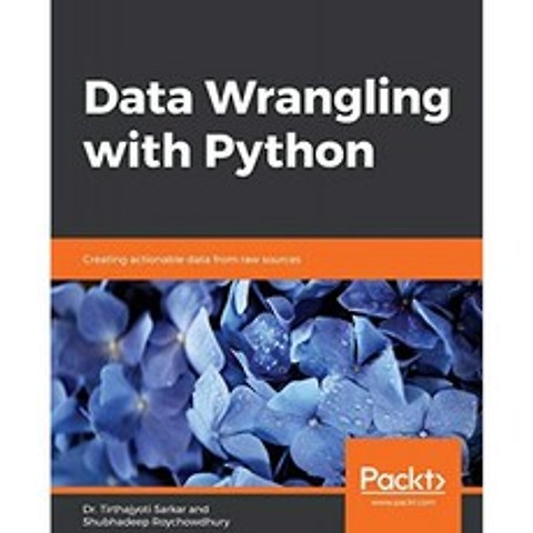 Python을 사용한 데이터 랭 글링 : 원시 소스에서 실행 가능한 데이터 만들기, 단일옵션