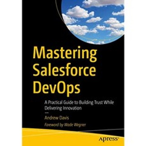 Salesforce DevOps 마스터하기 : 혁신을 제공하면서 신뢰를 구축하기위한 실용적인 가이드, 단일옵션