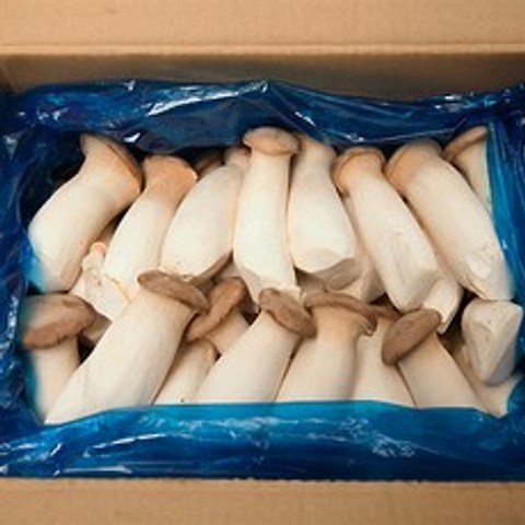 [프레시팜] 버섯류 새송이 버섯 벌크 특품 2kg