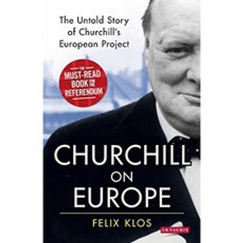 유럽의 처칠 : 처칠의 유럽 프로젝트에 대한 알려지지 않은 이야기, 단일옵션