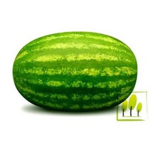 수박(water melon F O)프래그런스오일, 30ml
