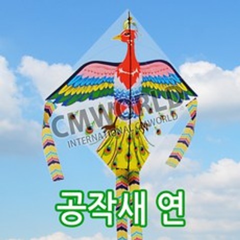 씨엠월드 비닐 공작새연 + 육각얼레 연날리기