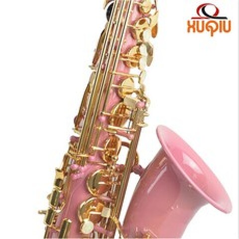 초보용 연습용 입문용 핑크 골드 키 중음 색소폰