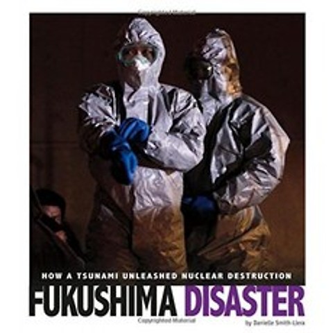 후쿠시마 재해 : 쓰나미가 핵 파괴를 일으킨 방법 (과학사 캡처), 단일옵션