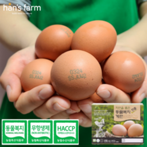 한스팜 난각번호 2번 업체직송 특란 동물 복지 계란 코스트코 달걀 40구 케이지프리