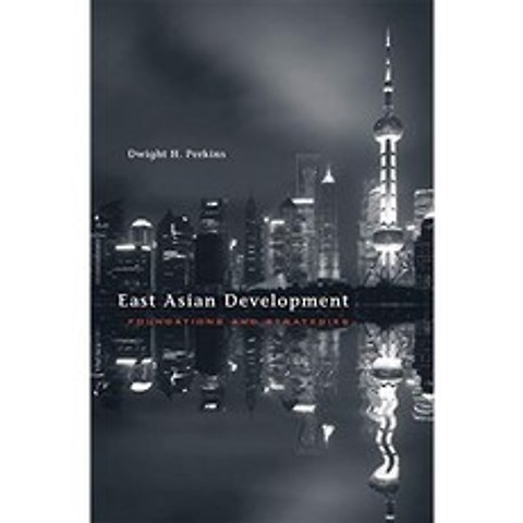 동아시아 개발 : 기초와 전략, 단일옵션, 단일옵션