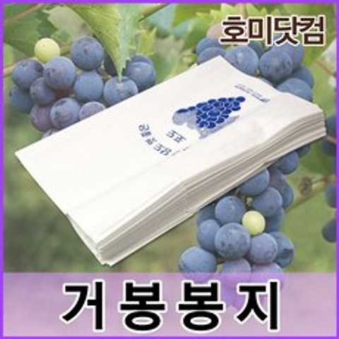 호미닷컴 거봉봉지 100매 과수 봉지 과일 봉투