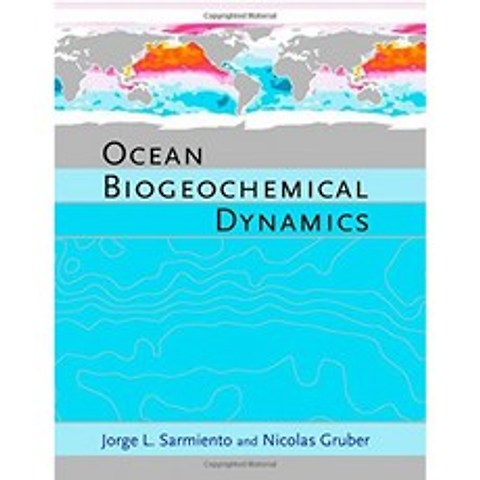 해양 생물 지구 화학적 역학, 단일옵션, 단일옵션