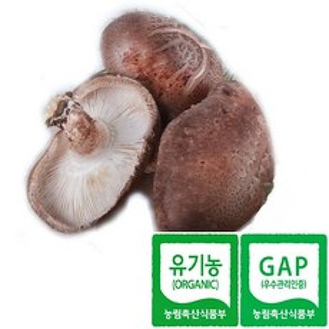 한그루 표고마을 유기농 생표고버섯(파지) 1kg당 7000원, 1box, 1kg