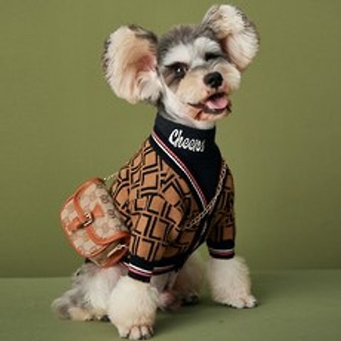 명품스타일 강아지옷 강아지 스웨터 봄외출복
