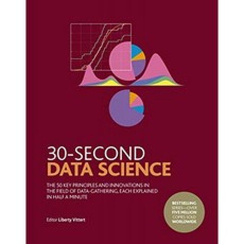 30 초 데이터 과학 : 데이터 수집 분야의 50 가지 핵심 원칙과 혁신 각각 0.5 분 만에 설명, 단일옵션