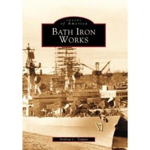 Bath Iron Works (미국의 이미지), 단일옵션