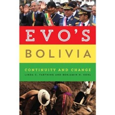 Evo의 볼리비아 : 연속성과 변화, 단일옵션