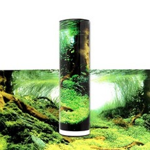 아마존/산호 양면 백스크린(49x60cm) - 어항백스크린, 단품