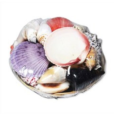 [바이오피스] 어항 용품 장식 조개 바구니 소라 껍질 껍데기 수조 수족관 꾸미기 바닥재 조개바구니, (대), 1개