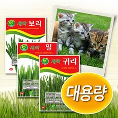 청농 대용량 캣그라스 [밀 보리 귀리] 새싹씨앗, 1개, 새싹보리 500g