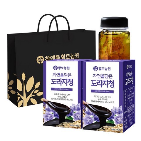 황토농원 자연을 담은 도라지청 250g x 2p + 보틀 + 쇼핑백, 1세트