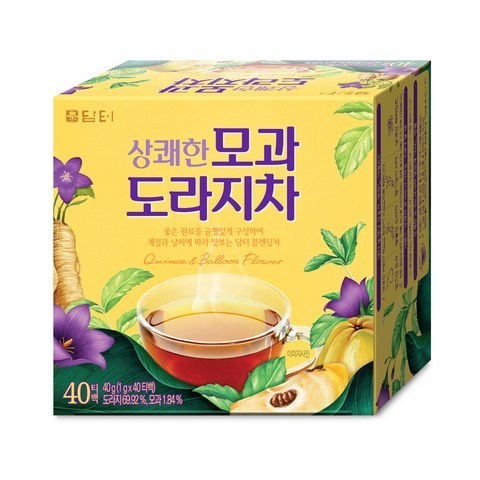 담터 상쾌한 모과 도라지차, 1g, 40개입