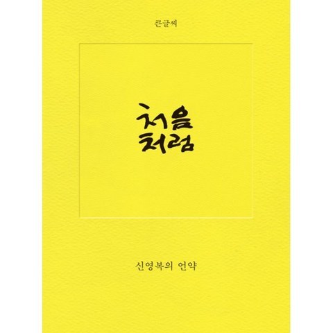 처음처럼 (큰글씨) : 신영복의 언약 개정신판, 돌베개