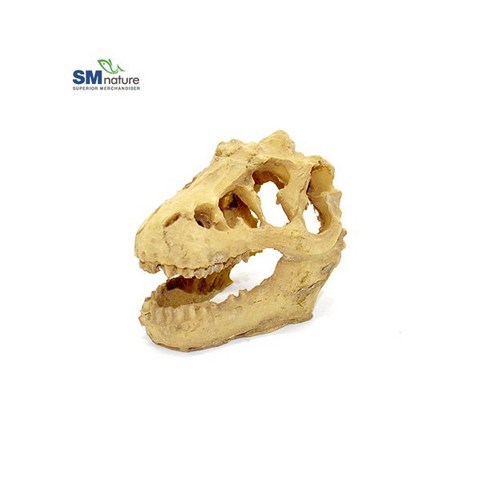 SM 미니 공룡뼈 해골 장식