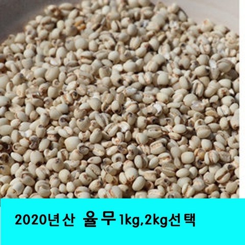 잡곡은보약 2020년산 율무 율무쌀 국산, 1포, 1kg