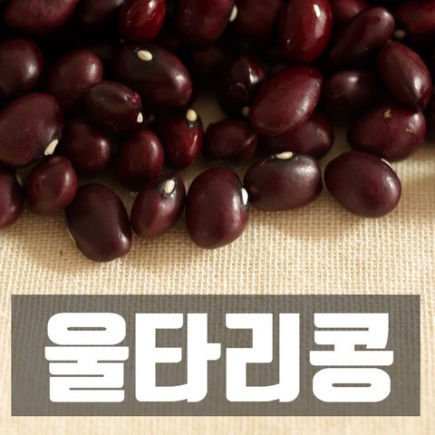 식사의품격 밤콩 울타리콩 밤양대 3kg, 1개