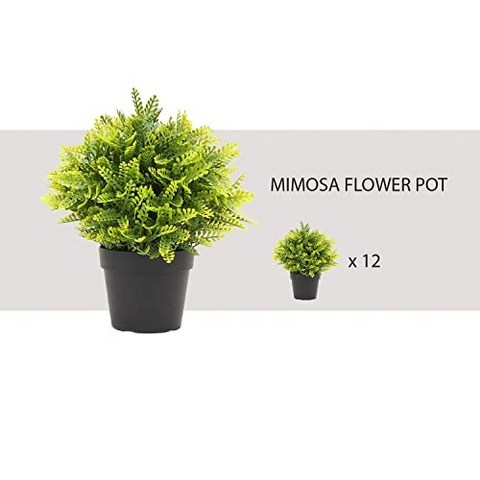 Ecoopts 인공 토피어리 화분 식물 미니 식물 화분 플라스틱 냄비 가짜 릴리프 미모사 꽃 그린 드 코 아레스 실내외 장식 12 팩 (Mimosa Flower 12), Mimosa Flower, 12