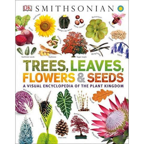 나무 잎 꽃 및 씨앗 : 식물 왕국의 시각적 백과 사전, 단일옵션