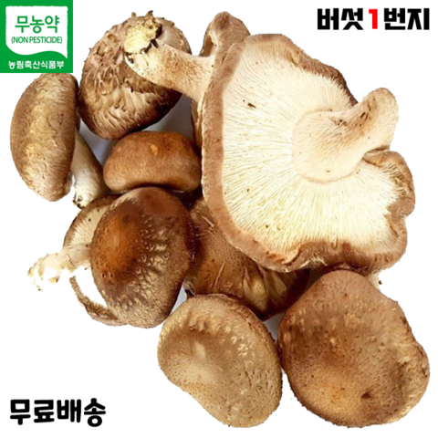 버섯1번지 장흥 무농약 못난이 표고버섯 5kg 실속형