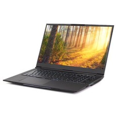 한성컴퓨터 노트북 TFG176W (i7-8750H 43.94 cm GeForce 1060), 256GB, 8GB, WIN10 Home, 혼합 색상