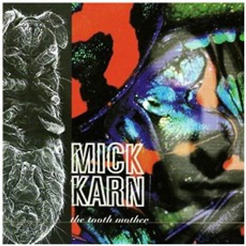 Mick Karn - The Tooth Mother 유럽수입반, 1CD