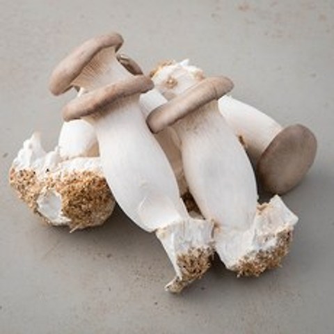 친환경인증 국내산 새송이버섯(뿌리있음), 400g, 2봉