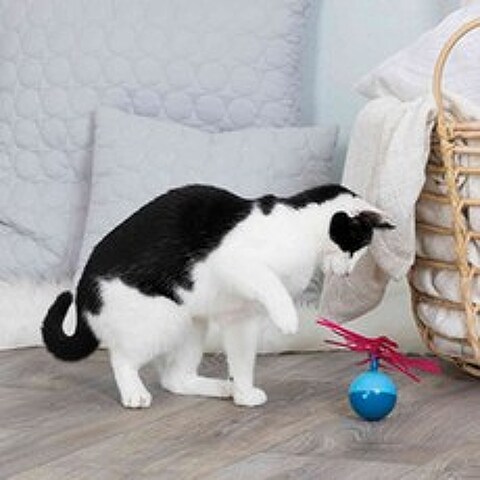 트릭시 고양이 팝업볼 장난감, 혼합색상, 1개