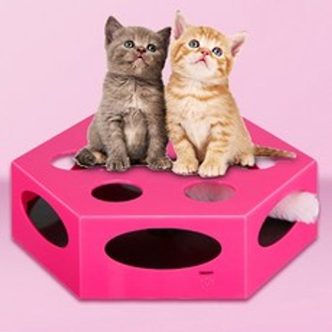 그뤠잇라이프 턴테이블 고양이 자동 장난감, 핑크, 1개