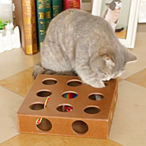딩동펫 고양이 큐브 볼놀이, 혼합 색상, 1세트