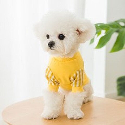 마이바우 반려동물 심플체크소매 티셔츠, 해바라기(옐로우)