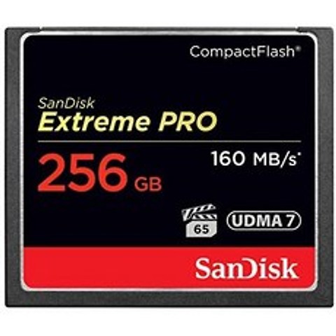 샌디스크 Extreme PRO 256GB Compact플래시 메모리 카드 UDMA 7 Speed Up To 160MBs- SDCFXPS-256G-X46, 상세 설명 참조0