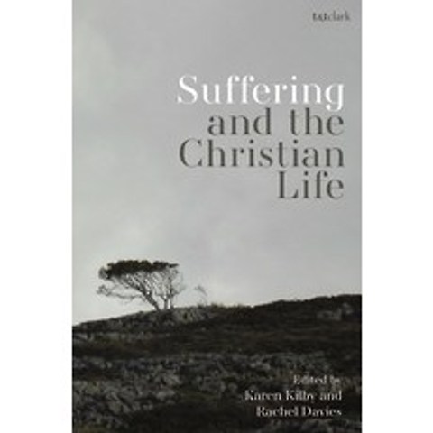 Suffering and the Christian Life Paperback, T&T Clark