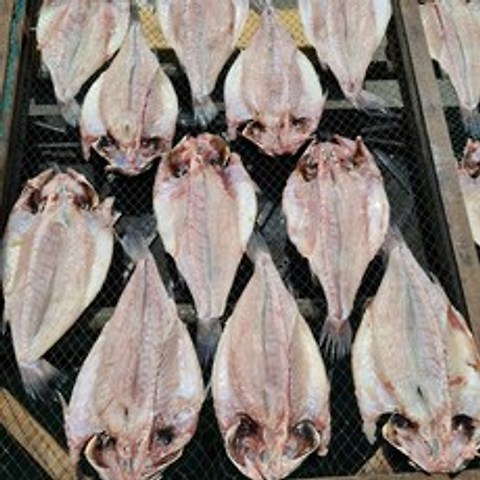 여수 반건조 민어 밥도둑 제수용 생선, 1box, 5마리