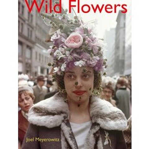 Joel Meyerowitz: Wild Flowers Hardcover, Damiani Ltd, English, 9788862087308