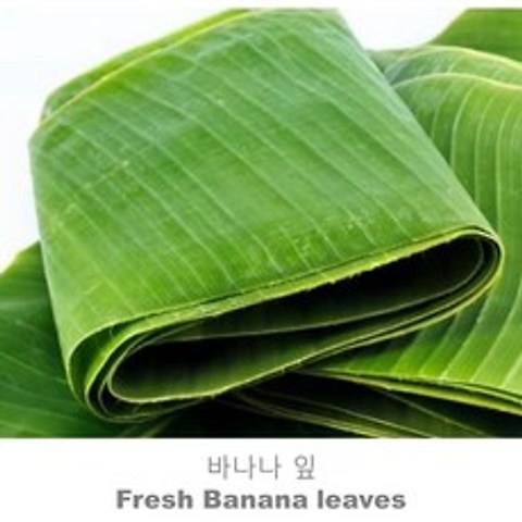[프리미엄] 바나나잎 (Banana leaves), 1팩, 1kg