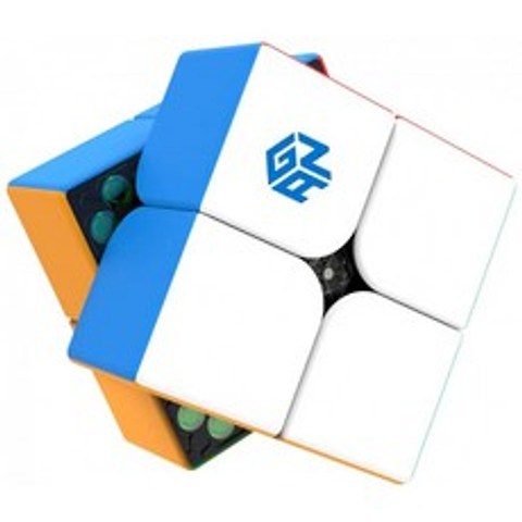 GAN 251M 2x2 자기 속도 큐브 스티커 없는 미니 큐브 Gans251 Lite 버전 퍼즐 장난감 초보자용:, 단일옵션, 1
