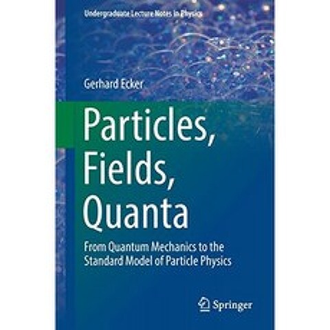 입자 필드 양자 : 양자 역학에서 입자 물리학의 표준 모델로 (학부 물리학 강의 노트), 단일옵션