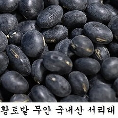 한땀영농조합법인 황토밭 무안 국내산 서리태 1kg, 1개