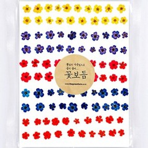 그린팜네이처 꽃보듬 압화-조팝 혼합팩(100송이)