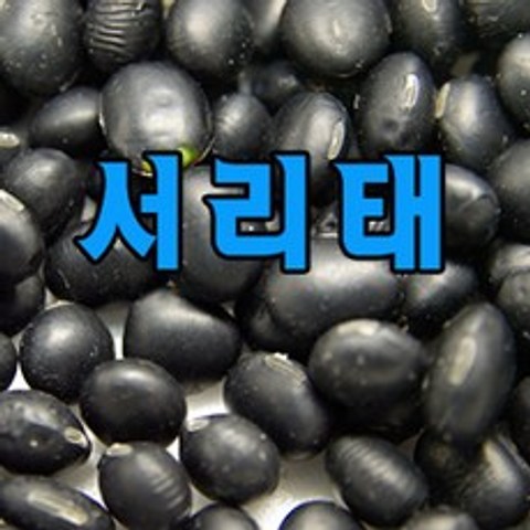 샘골농산 중국산 서리태 1kg, 1개