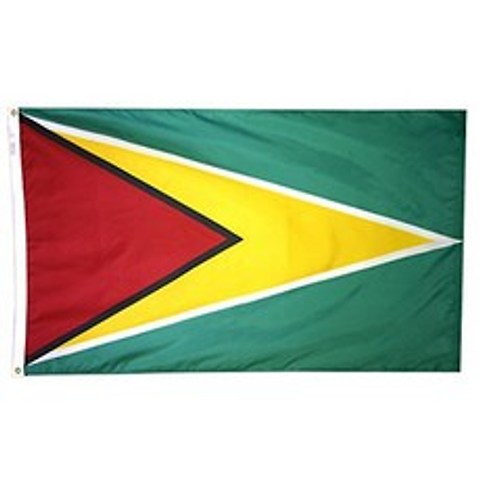 Guyana Flag 3x5 ft. Nylon SolarGuard NYL-Glo 100 % Made in USA Annin Flagmakers의 공식 유엔 디자, 단일옵션