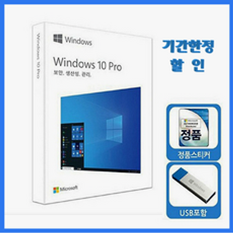 윈도우 10 프로 Pro USB 타입 처음사용자용 FPP