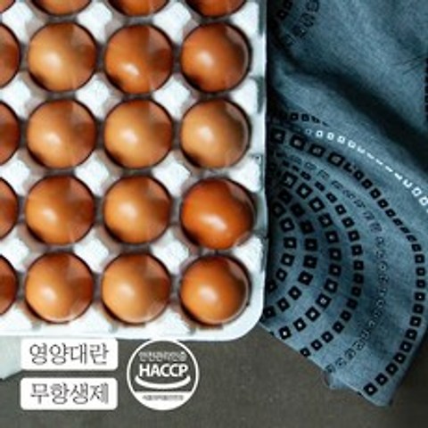 [훈민정과] 신선한 계란만 구워낸 촉촉 쫄깃 무항생제 구운란, 30구